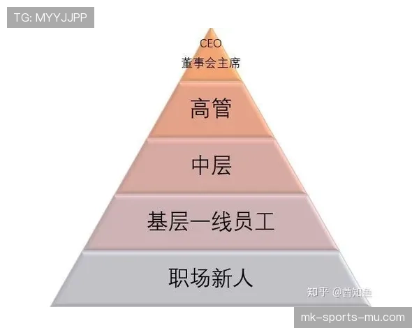 沃特金斯的进化上限取决于哪些关键因素？